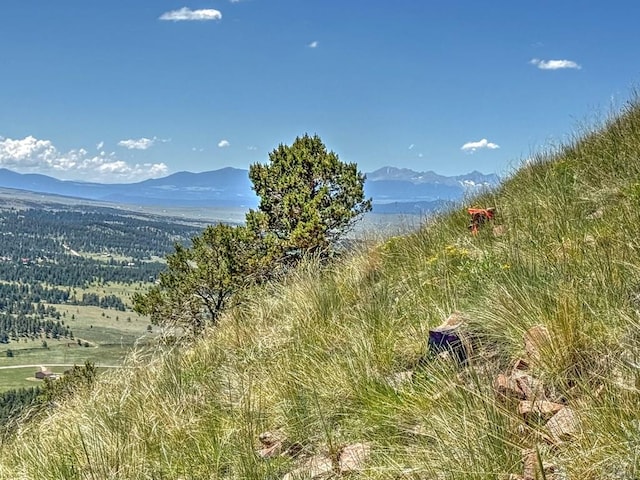 96 N Matterhorn Cir, Westcliffe, CO 81252