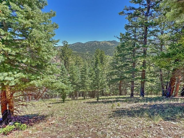 96 N Matterhorn Cir, Westcliffe, CO 81252