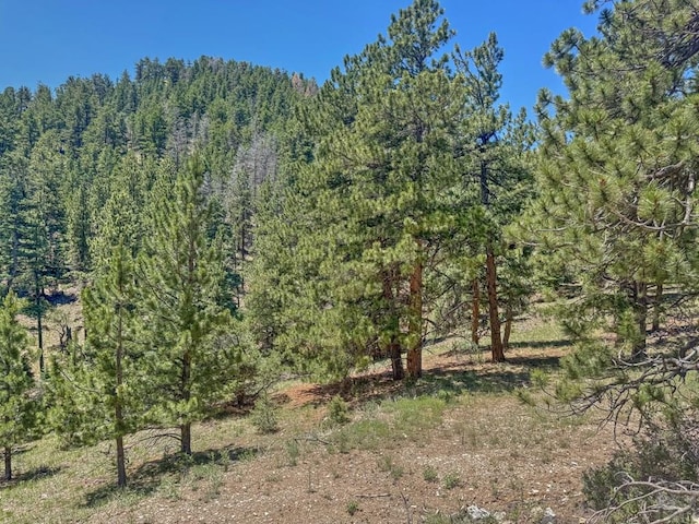 96 N Matterhorn Cir, Westcliffe, CO 81252