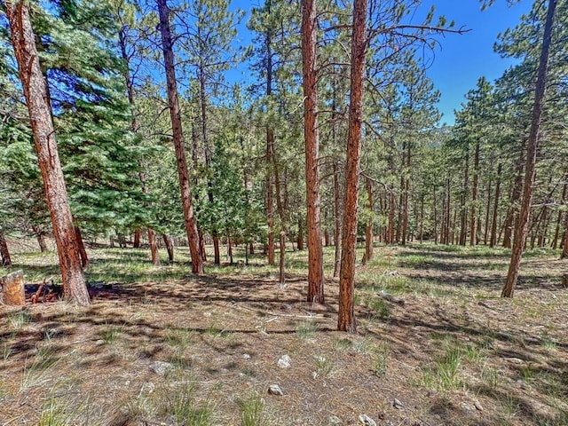 96 N Matterhorn Cir, Westcliffe, CO 81252