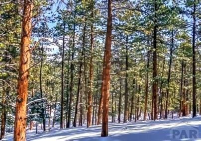 96 N Matterhorn Cir, Westcliffe, CO 81252