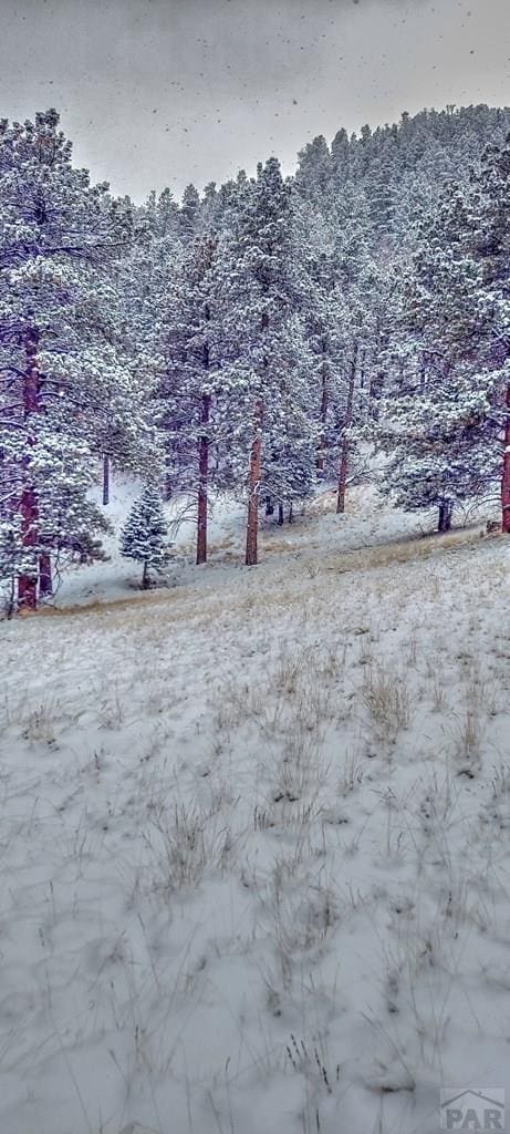 96 N Matterhorn Cir, Westcliffe, CO 81252