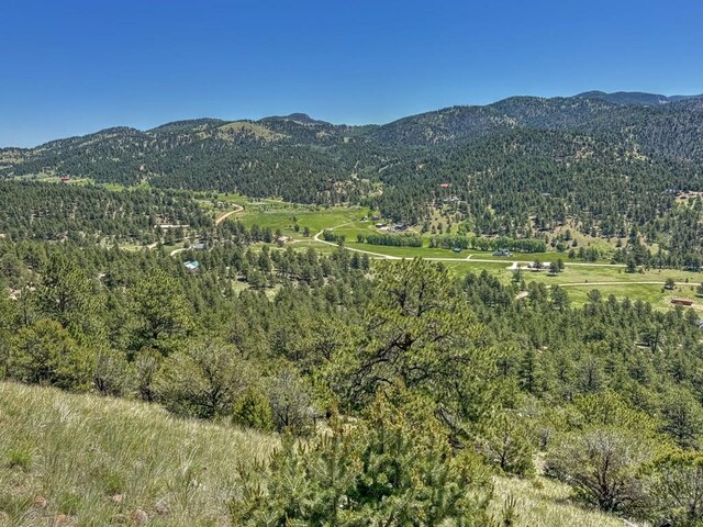 96 N Matterhorn Cir, Westcliffe, CO 81252 - photo 18