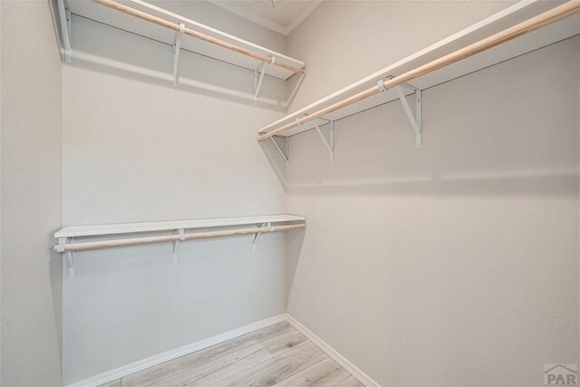 spacious closet featuring light wood-style flooring