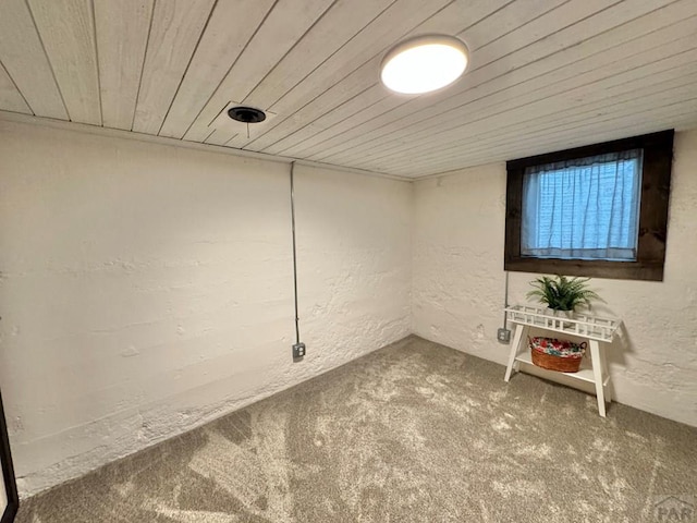 303 S Animas St, Trinidad, CO 81082 - below grade area with a textured wall, wooden ceiling, and carpet floors