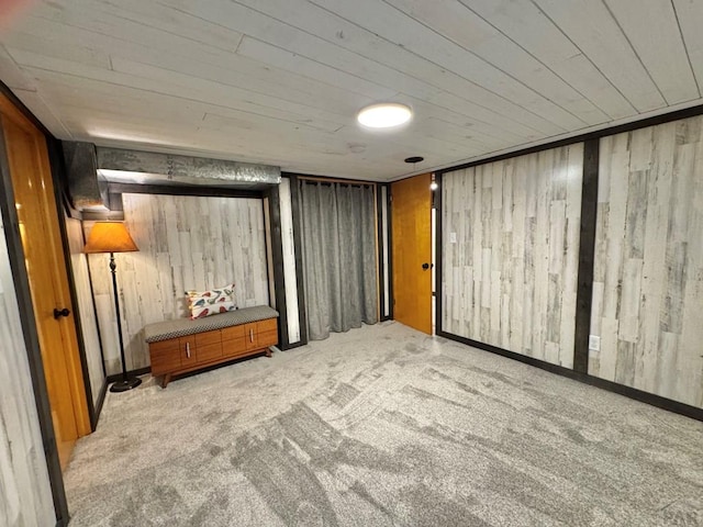 303 S Animas St, Trinidad, CO 81082 - finished basement featuring wooden walls, carpet flooring, and wooden ceiling