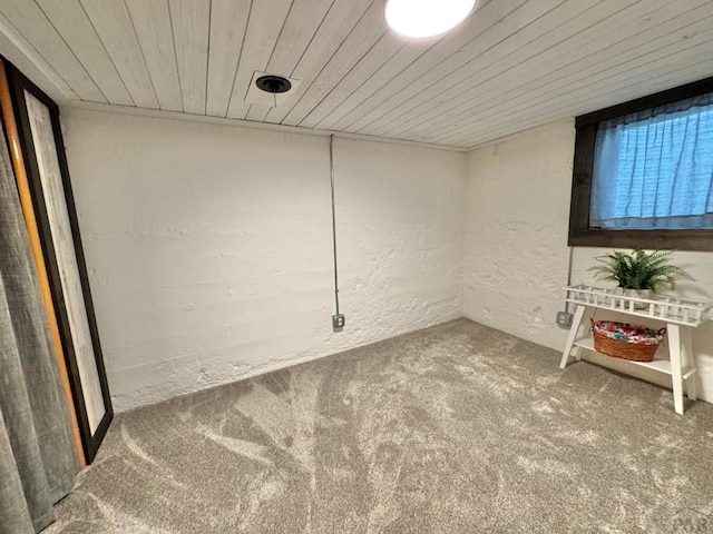 303 S Animas St, Trinidad, CO 81082 - basement featuring carpet flooring, wood ceiling, and a textured wall