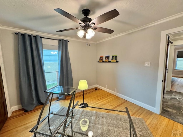 303 S Animas St, Trinidad, CO 81082 - office area featuring light wood-style floors, plenty of natural light, crown molding, a ceiling fan, and a textured ceiling