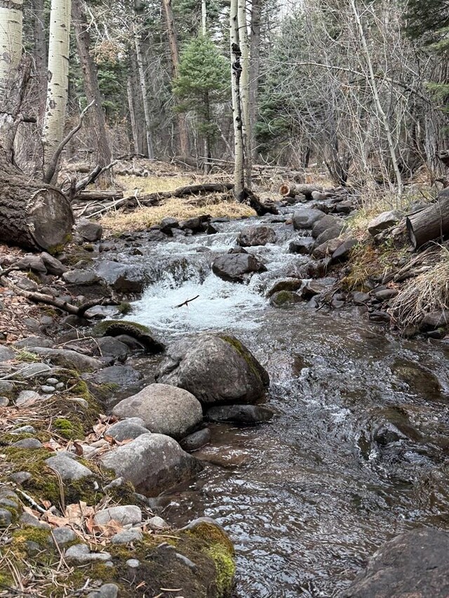 1005 County Road 132, Westcliffe, CO 81252 - view of local wilderness