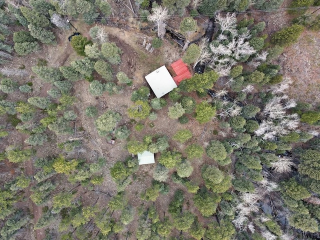 1005 County Road 132, Westcliffe, CO 81252 - aerial view of property and surrounding area