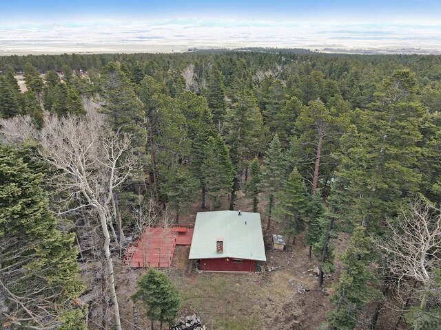 1005 County Road 132, Westcliffe, CO 81252 - view of property location featuring a heavily wooded area