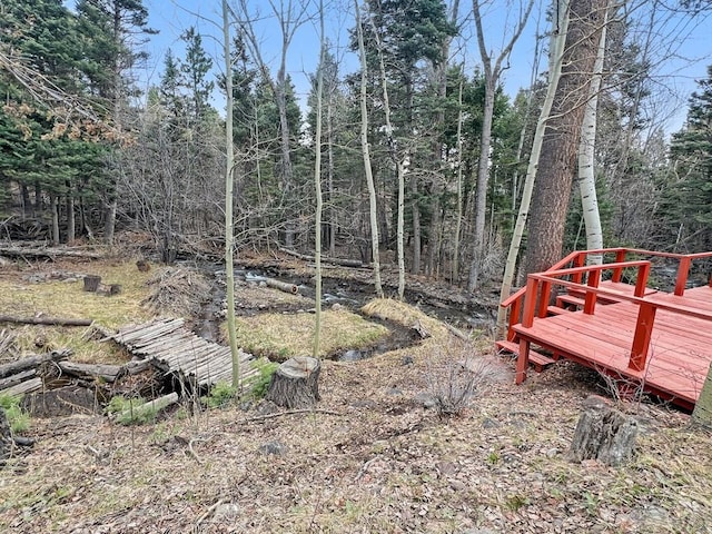 1005 County Road 132, Westcliffe, CO 81252 - view of yard featuring a deck