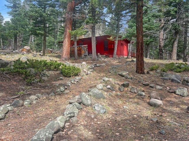 1005 County Road 132, Westcliffe, CO 81252 - view of yard featuring an outbuilding