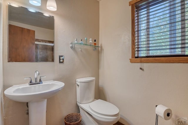 bathroom with toilet, a wealth of natural light, and a textured wall