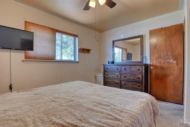 24 Chestnut Dr, Pueblo, CO 81005 - photo 27