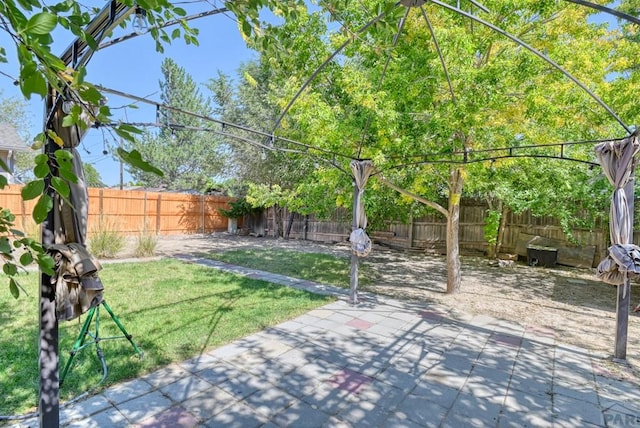 view of yard with a patio and a fenced backyard