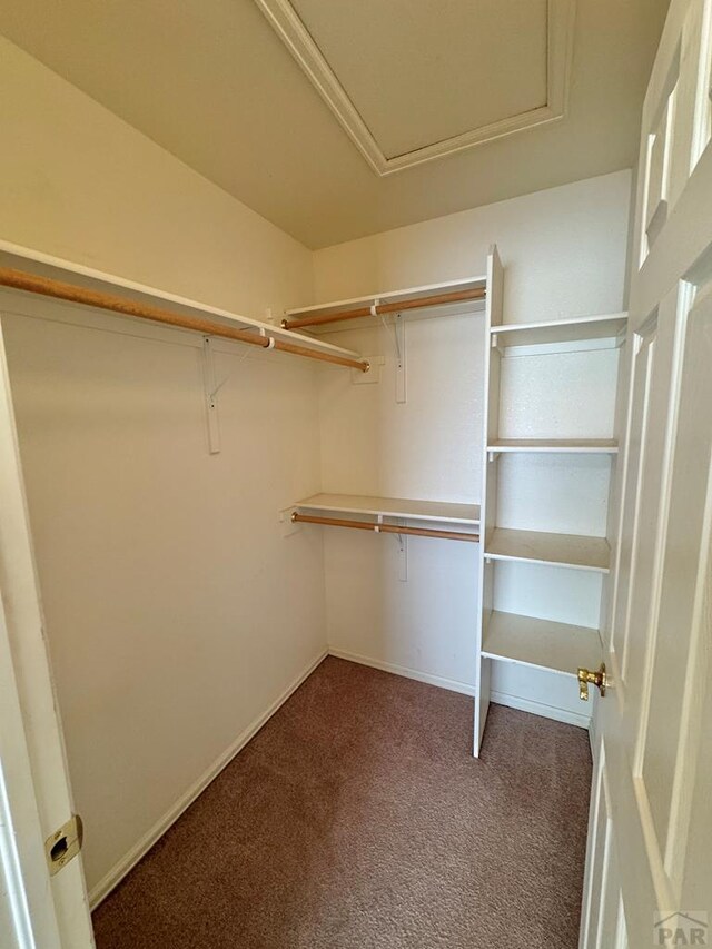 4147 Outlook Blvd Unit F, Pueblo, CO 81008 - walk in closet featuring carpet