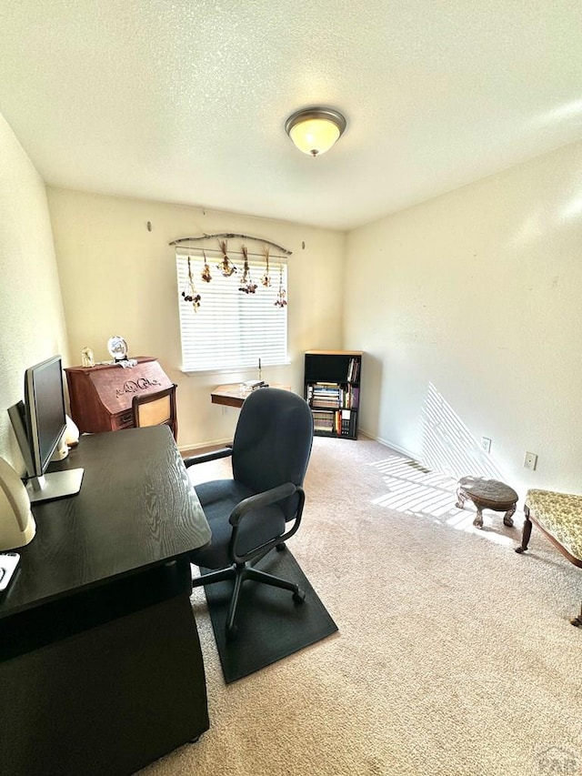 4147 Outlook Blvd Unit F, Pueblo, CO 81008 - office space with carpet and a textured ceiling
