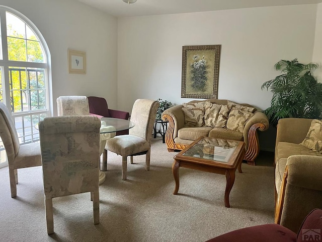 4147 Outlook Blvd Unit F, Pueblo, CO 81008 - sitting room featuring carpet flooring
