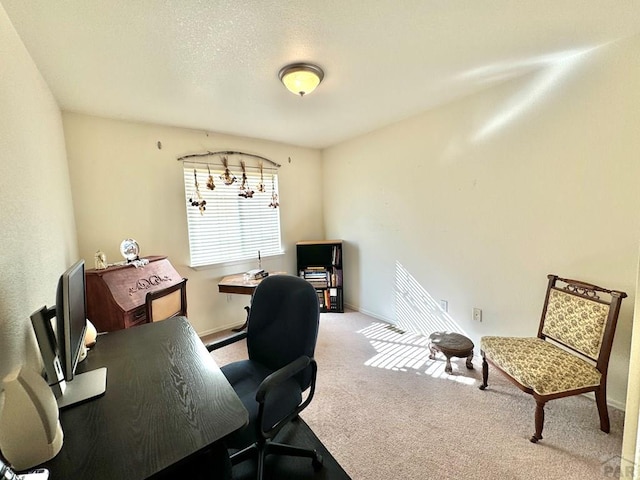 4147 Outlook Blvd Unit F, Pueblo, CO 81008 - home office with a textured ceiling, baseboards, and carpet
