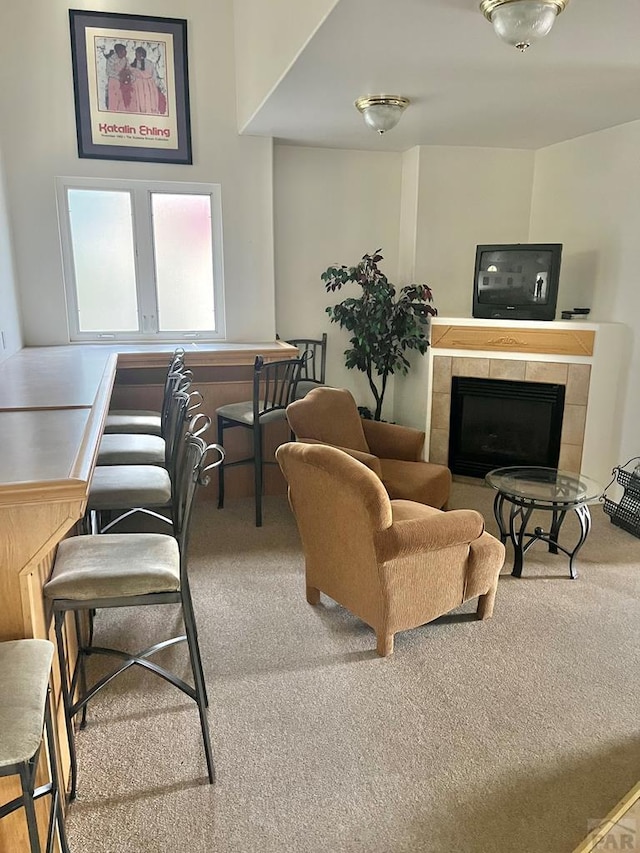 4147 Outlook Blvd Unit F, Pueblo, CO 81008 - carpeted living area with a fireplace
