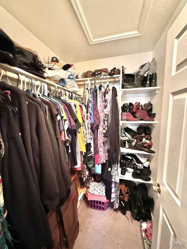 4147 Outlook Blvd Unit F, Pueblo, CO 81008 - spacious closet featuring carpet flooring