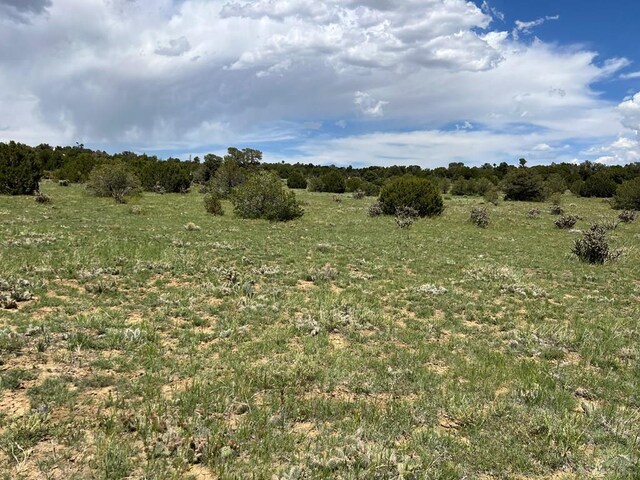 TBD County Rd 521.3, Walsenburg, CO 81089