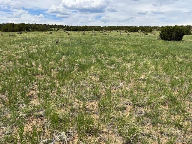 TBD County Rd 521.3, Walsenburg, CO 81089