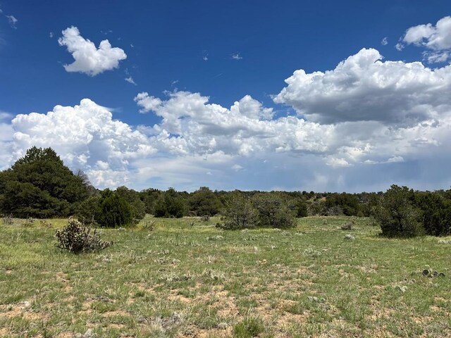 TBD County Rd 521.3, Walsenburg, CO 81089