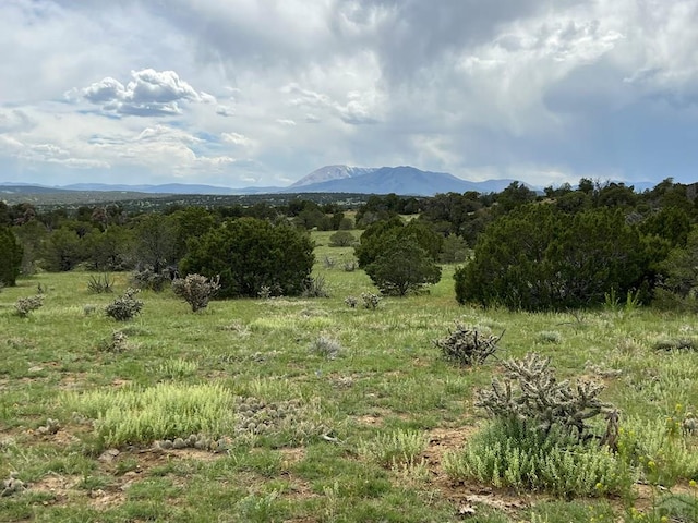 TBD County Rd 521.3, Walsenburg, CO 81089