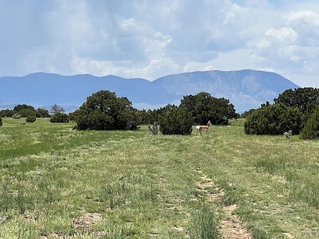 TBD County Rd 521.3, Walsenburg, CO 81089