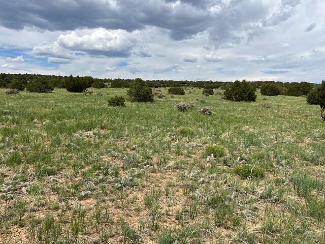 TBD County Rd 521.3, Walsenburg, CO 81089