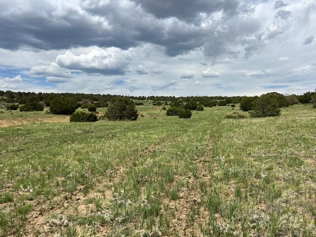 TBD County Rd 521.3, Walsenburg, CO 81089
