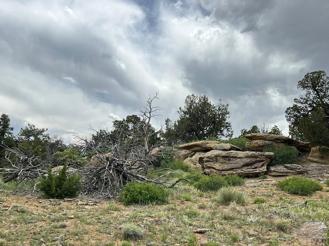 TBD County Rd 521.3, Walsenburg, CO 81089
