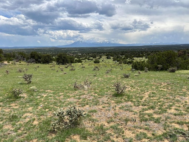 TBD County Rd 521.3, Walsenburg, CO 81089
