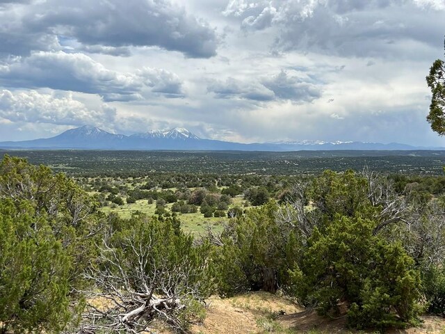 TBD County Rd 521.3, Walsenburg, CO 81089