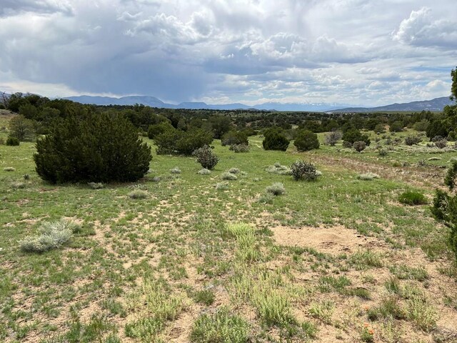 TBD County Rd 521.3, Walsenburg, CO 81089