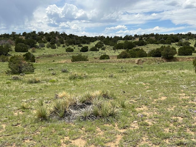 TBD County Rd 521.3, Walsenburg, CO 81089