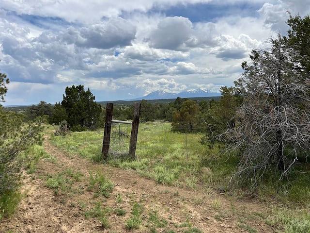TBD County Rd 521.3, Walsenburg, CO 81089