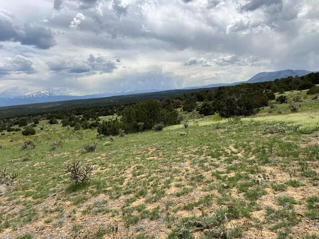 TBD County Rd 521.3, Walsenburg, CO 81089