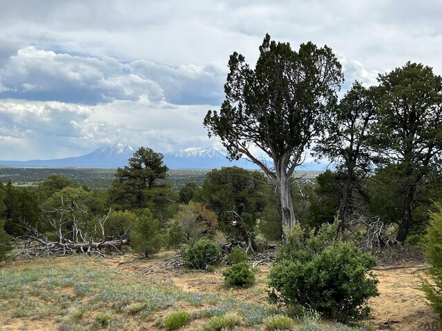 TBD County Rd 521.3, Walsenburg, CO 81089