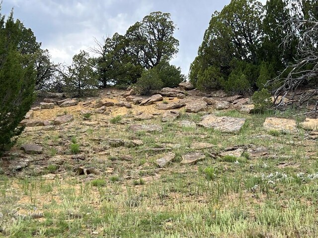 TBD County Rd 521.3, Walsenburg, CO 81089