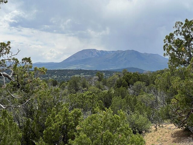 TBD County Rd 521.3, Walsenburg, CO 81089