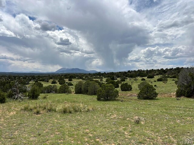 TBD County Rd 521.3, Walsenburg, CO 81089
