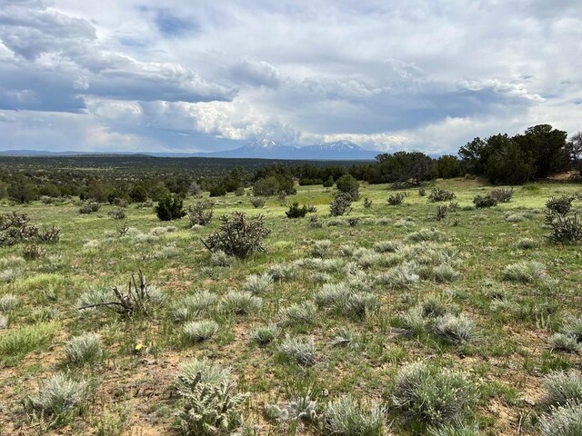 TBD County Rd 521.3, Walsenburg, CO 81089