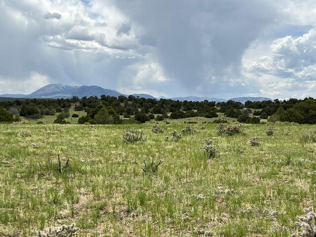 TBD County Rd 521.3, Walsenburg, CO 81089