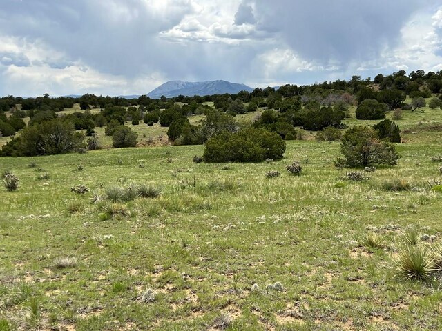 TBD County Rd 521.3, Walsenburg, CO 81089