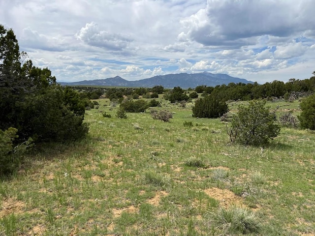 TBD County Rd 521.3, Walsenburg, CO 81089