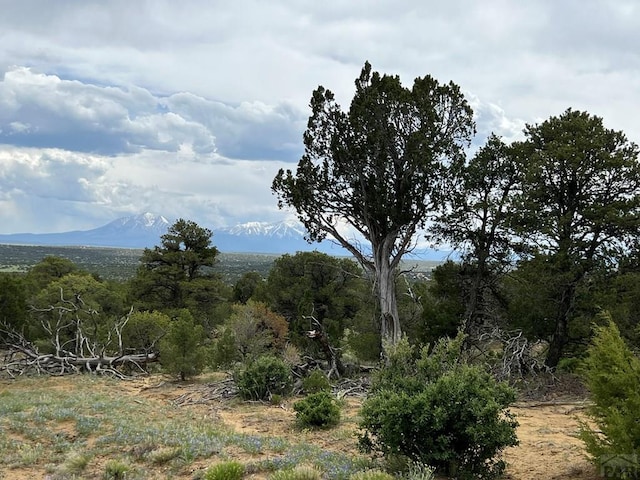TBD County Rd 521.3, Walsenburg, CO 81089