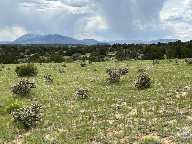 TBD County Rd 521.3, Walsenburg, CO 81089